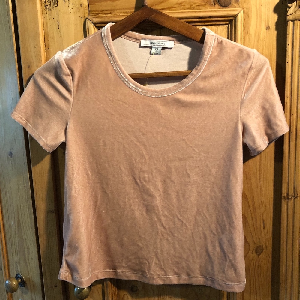 Adam Levine pink velvet top